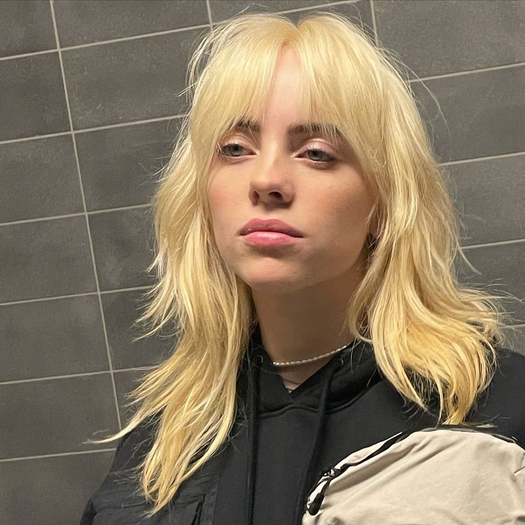 Y2K Wolfcut Hair w/ Cat Beanie(Blonde)